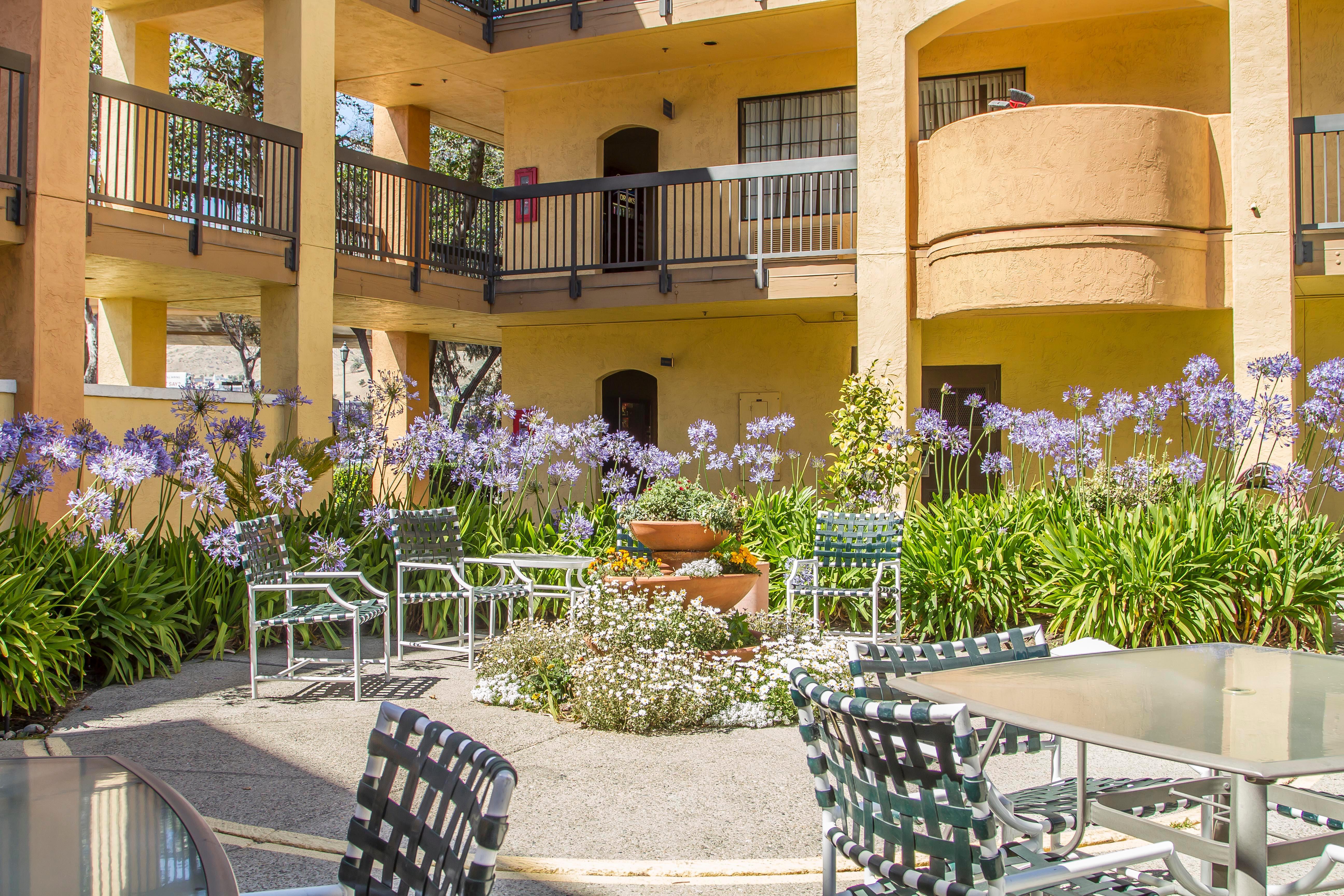 Comfort Inn & Suites San Francisco Airport North South San Francisco Dış mekan fotoğraf